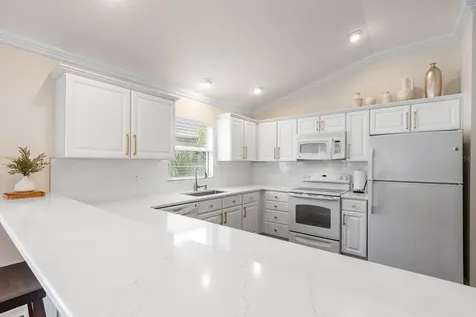 1204 Flamingo Place The Villages FL 32162