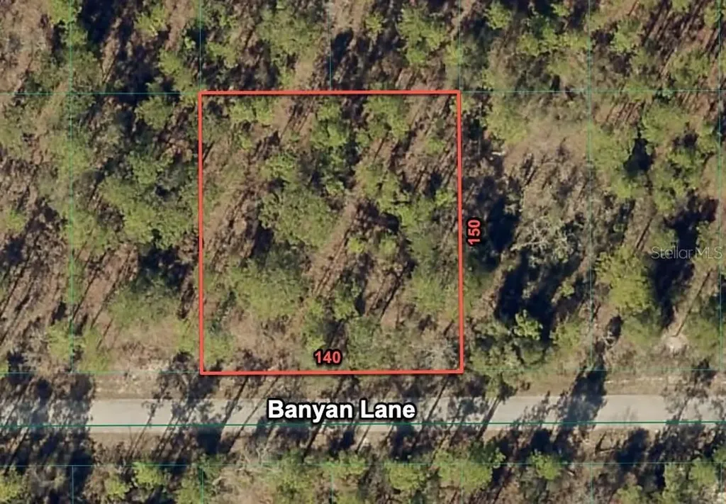 24309 NW Banyan Lane Dunnellon FL 34431