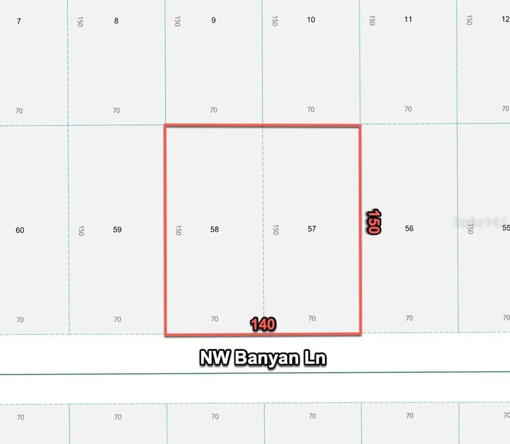 24309 NW Banyan Lane Dunnellon FL 34431