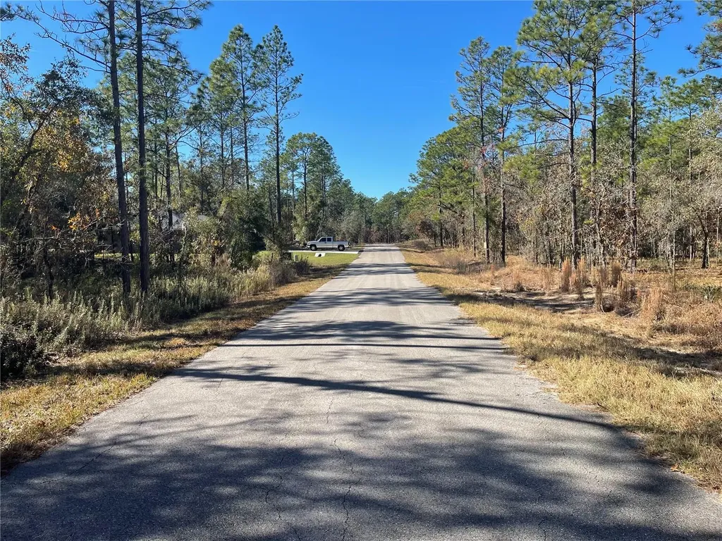 24309 NW Banyan Lane Dunnellon FL 34431