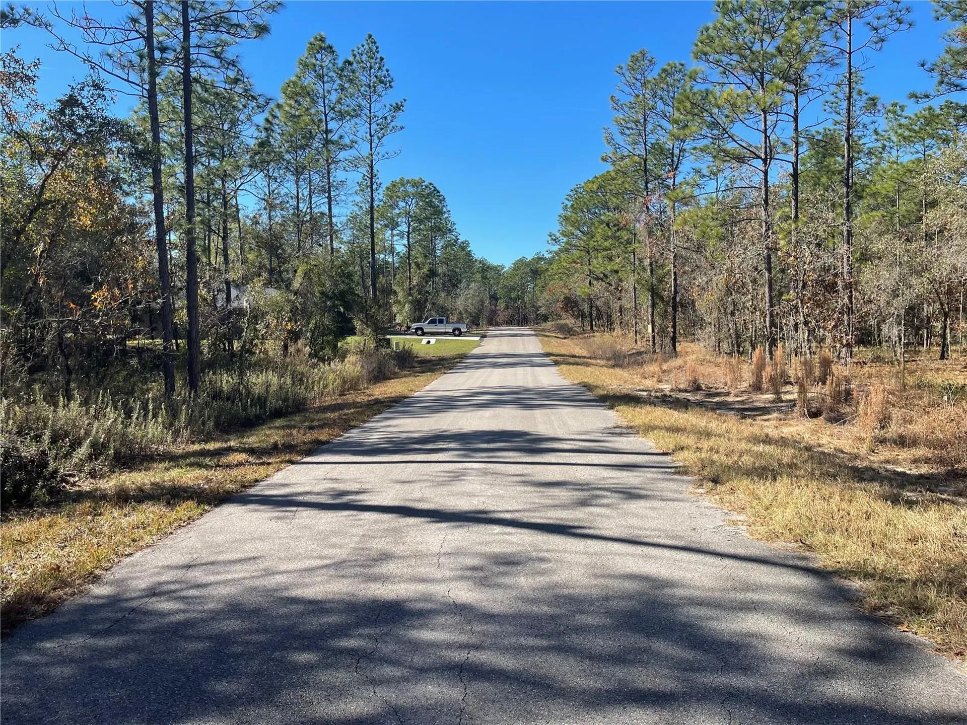 24309 NW Banyan Lane Dunnellon FL 34431