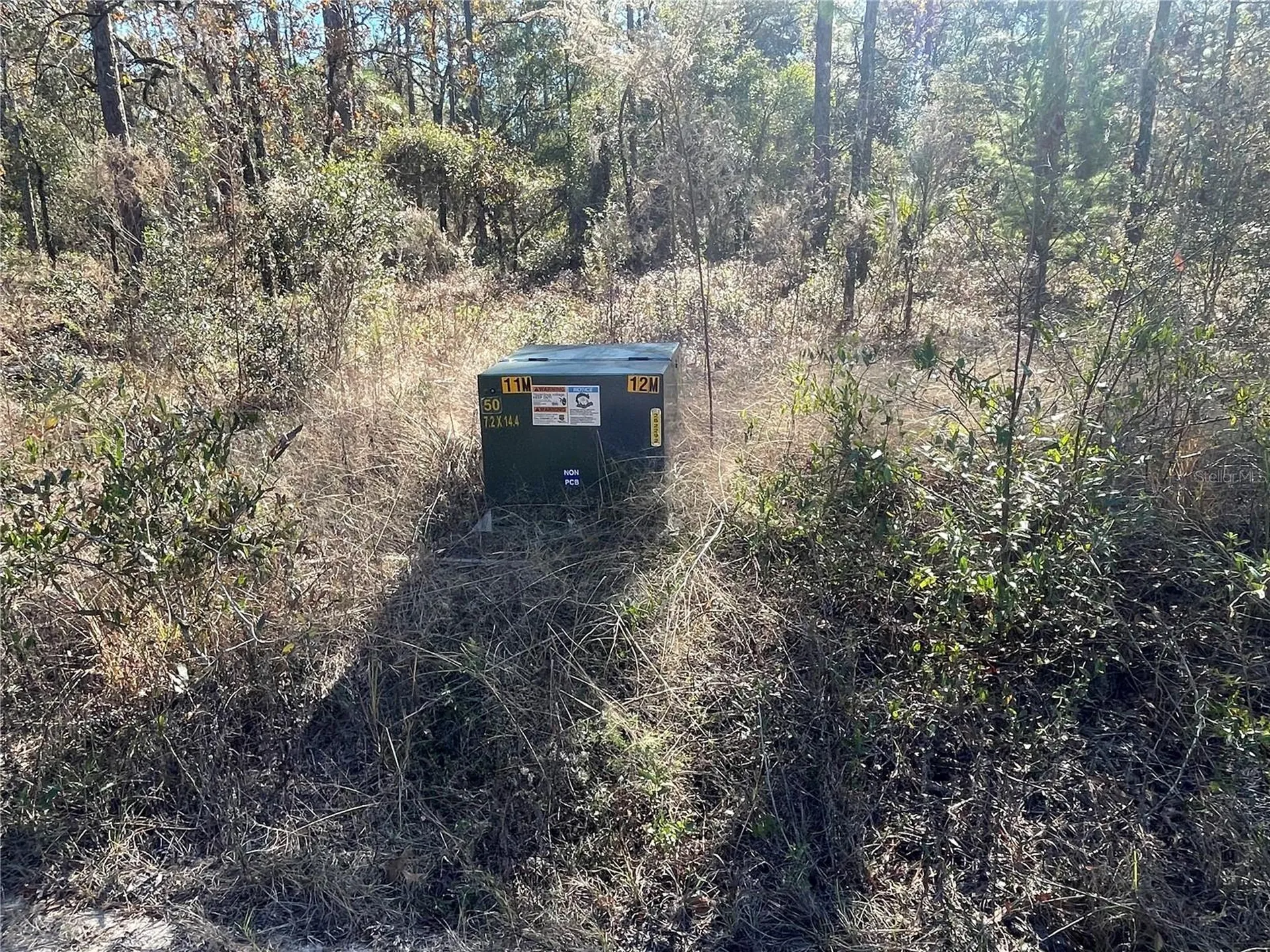 24309 NW Banyan Lane Dunnellon FL 34431