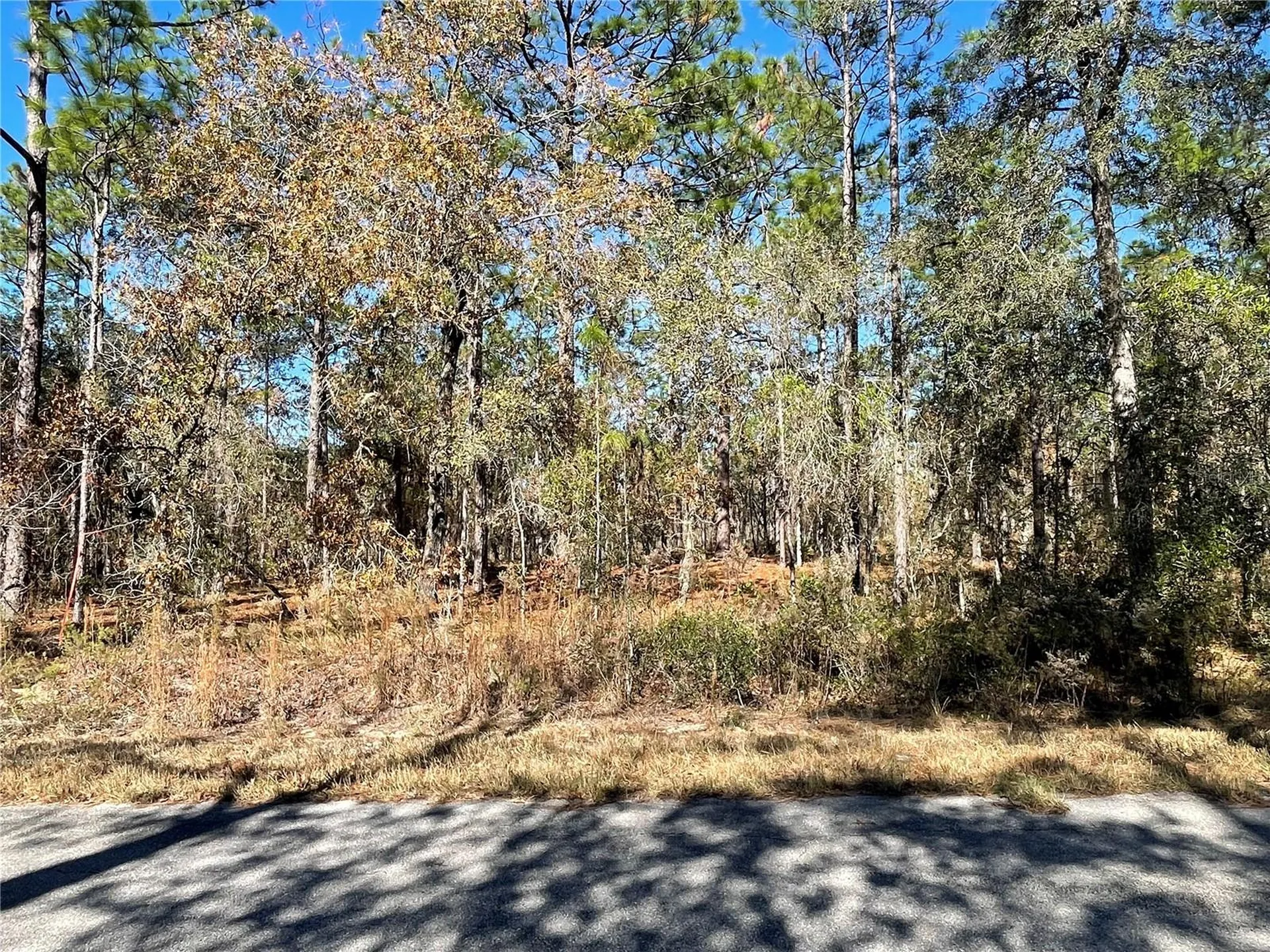 24309 NW Banyan Lane Dunnellon FL 34431