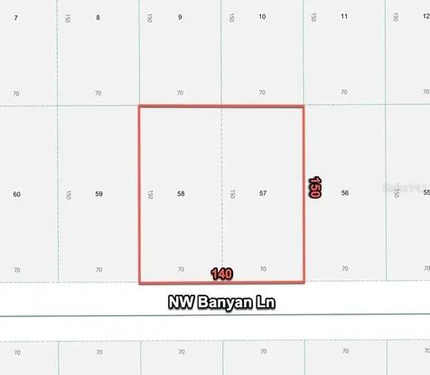 24309 NW Banyan Lane Dunnellon FL 34431