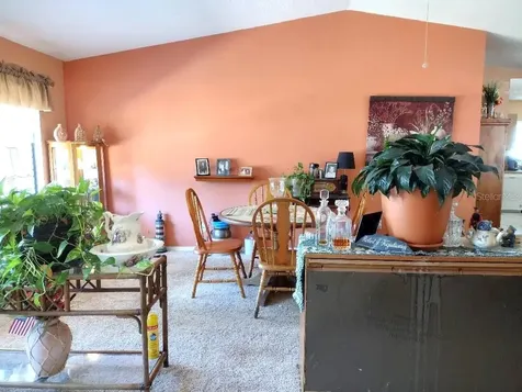 18 Palmyra Lane Palm Coast FL 32164