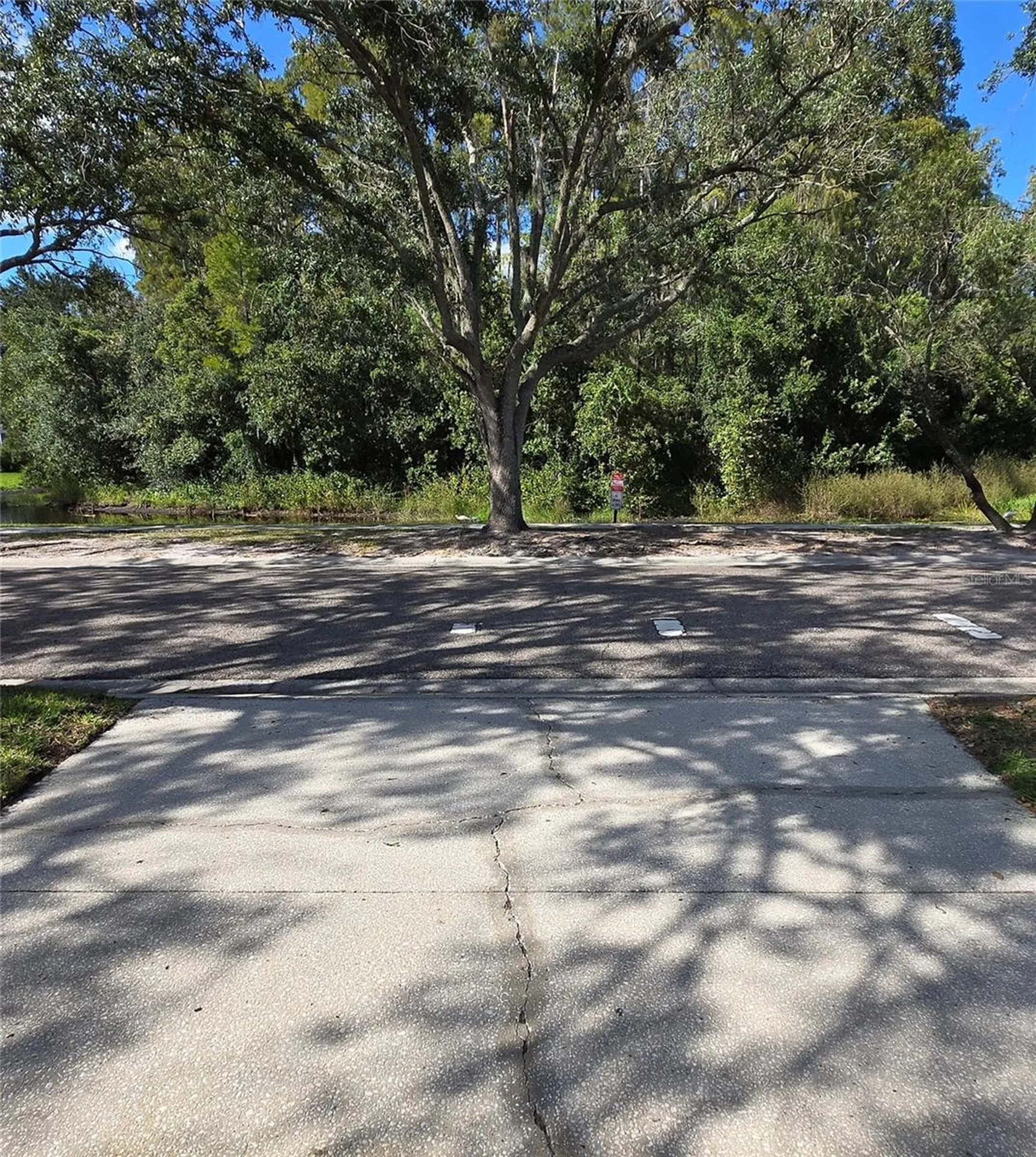 9707 Cypress Shadow Avenue Tampa FL 33647