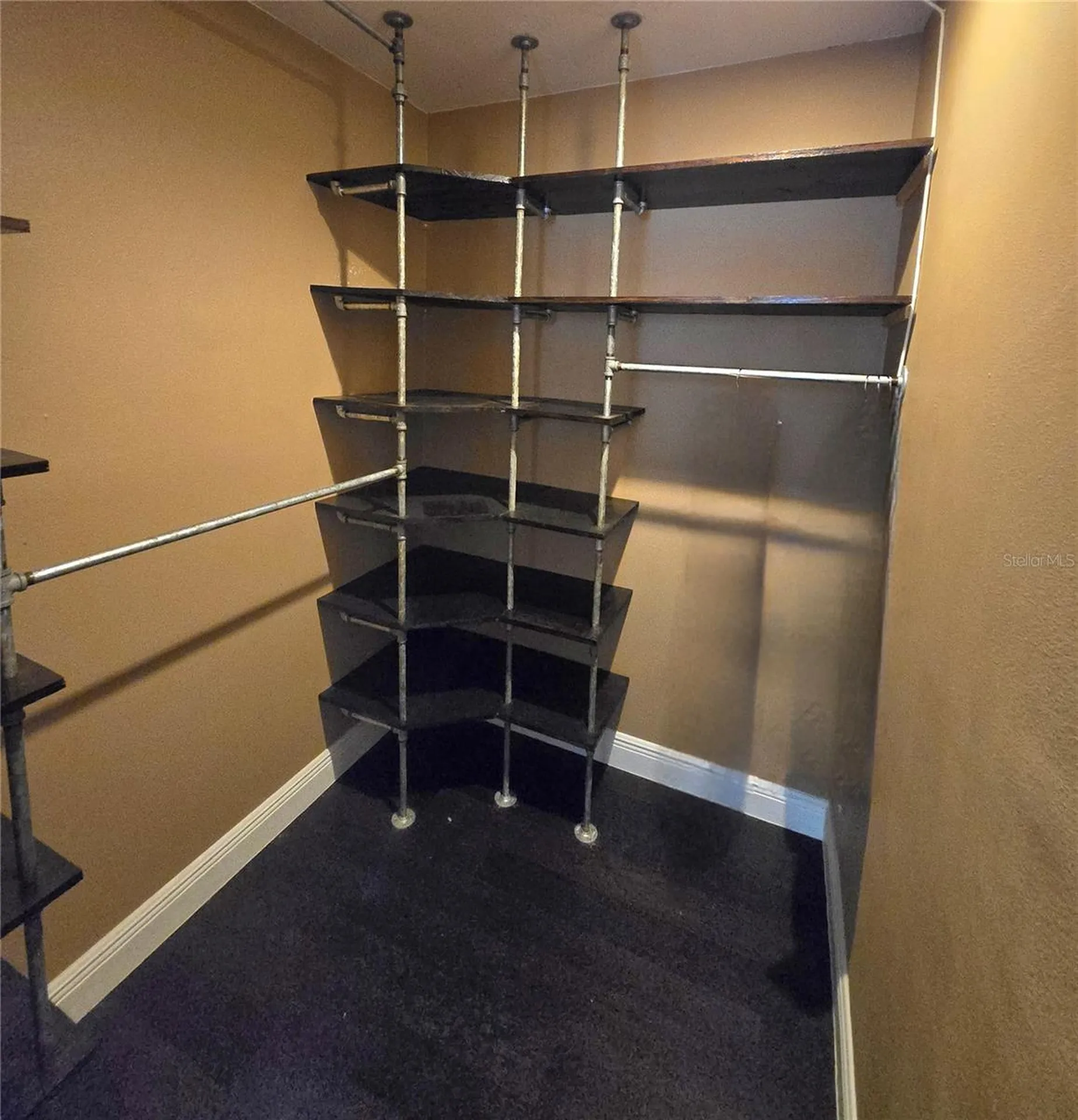 9707 Cypress Shadow Avenue Tampa FL 33647
