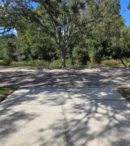 9707 Cypress Shadow Avenue Tampa FL 33647