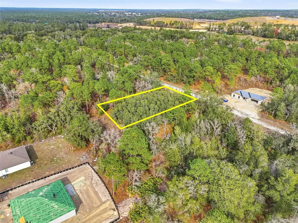 Cayman Road Weeki Wachee FL 34614