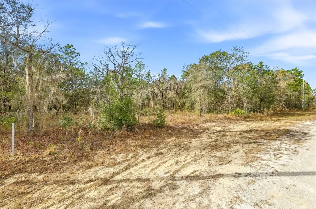 Cayman Road Weeki Wachee FL 34614