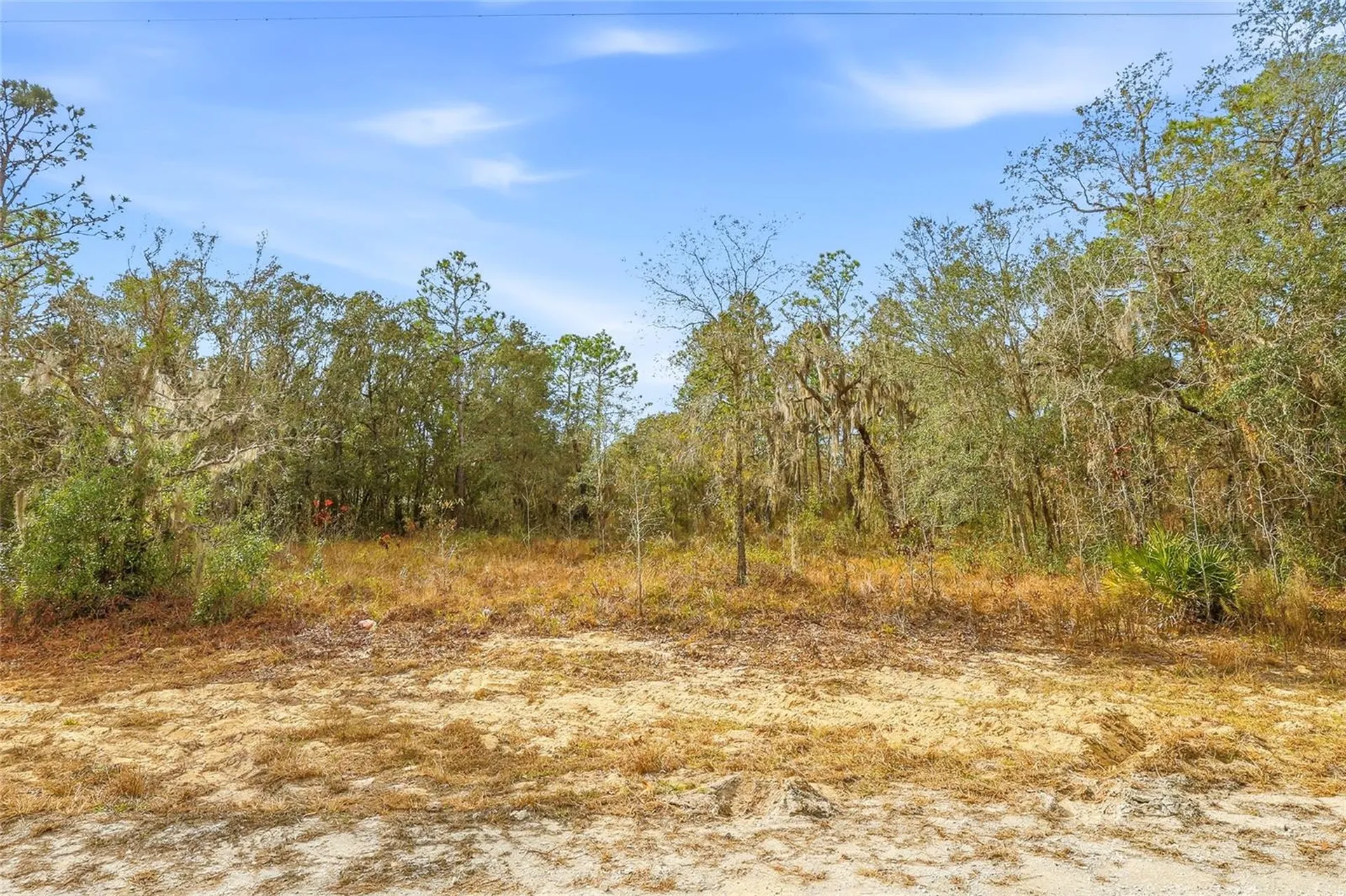 Cayman Road Weeki Wachee FL 34614