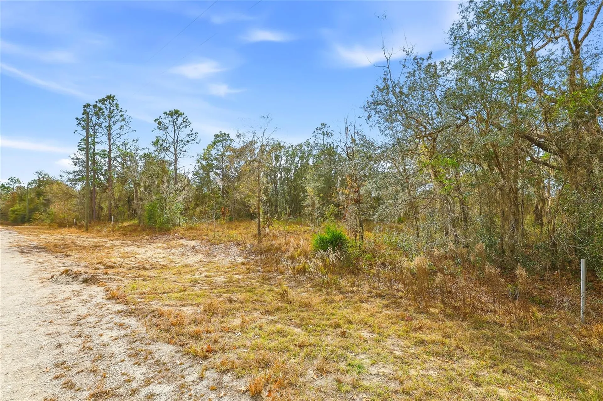 Cayman Road Weeki Wachee FL 34614