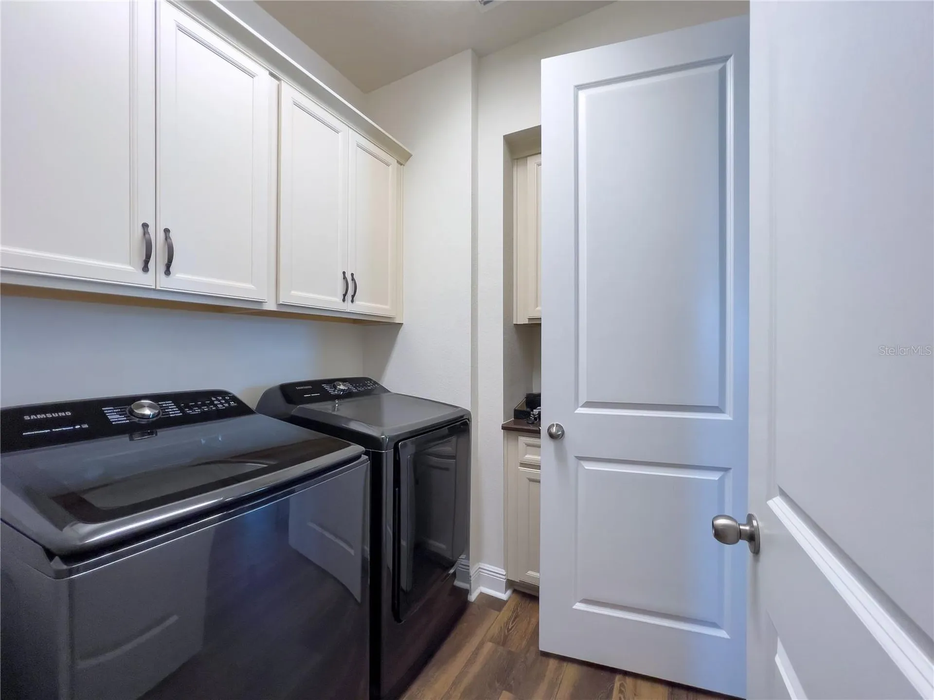 13102 Satin Lily Drive Riverview FL 33579