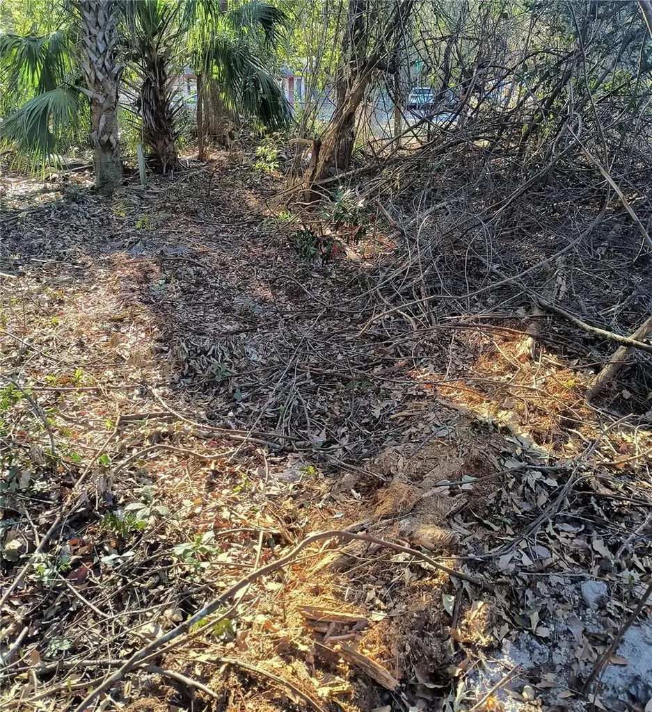 1929 NE 7th Place Gainesville FL 32641