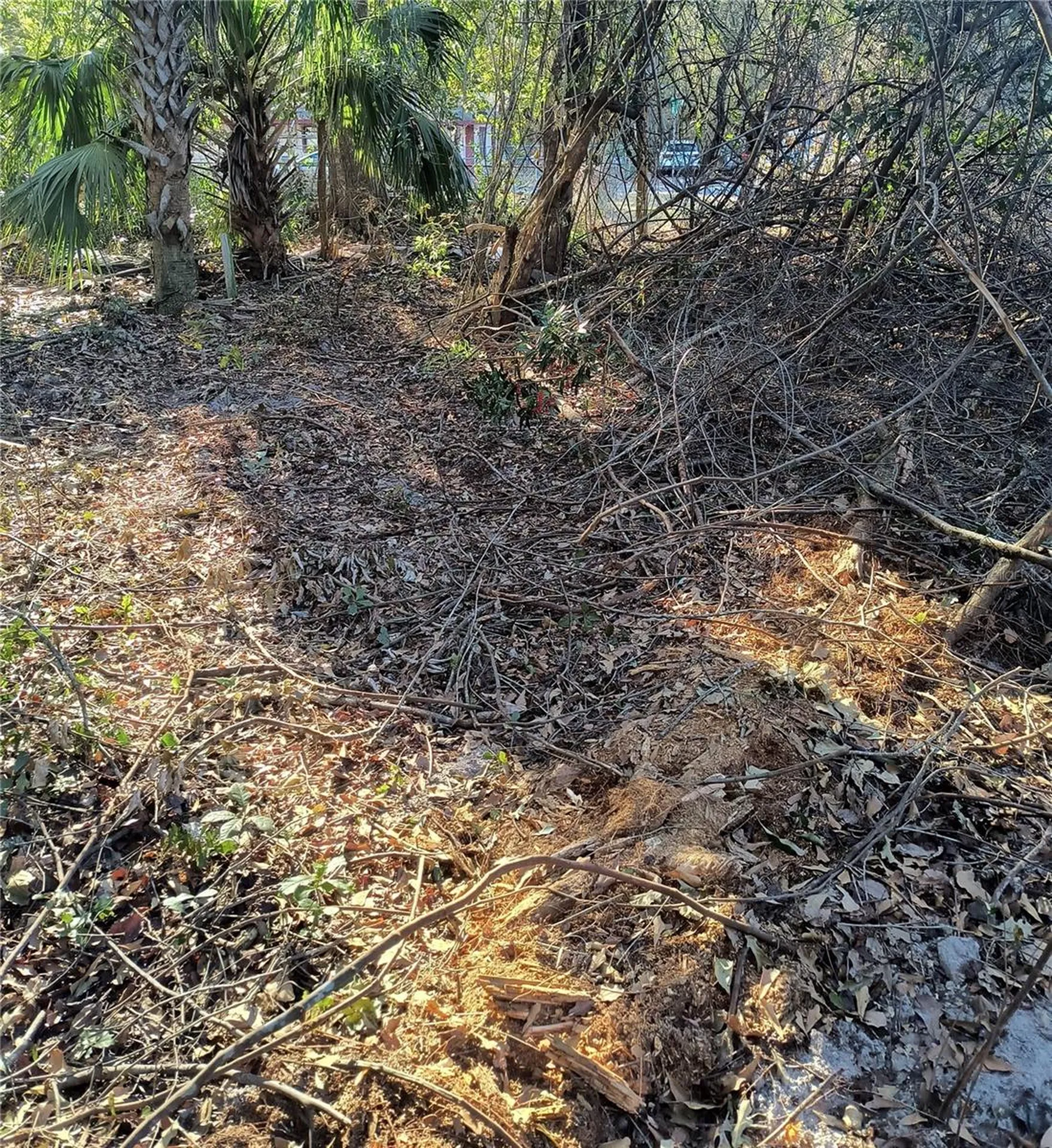 1929 NE 7th Place Gainesville FL 32641