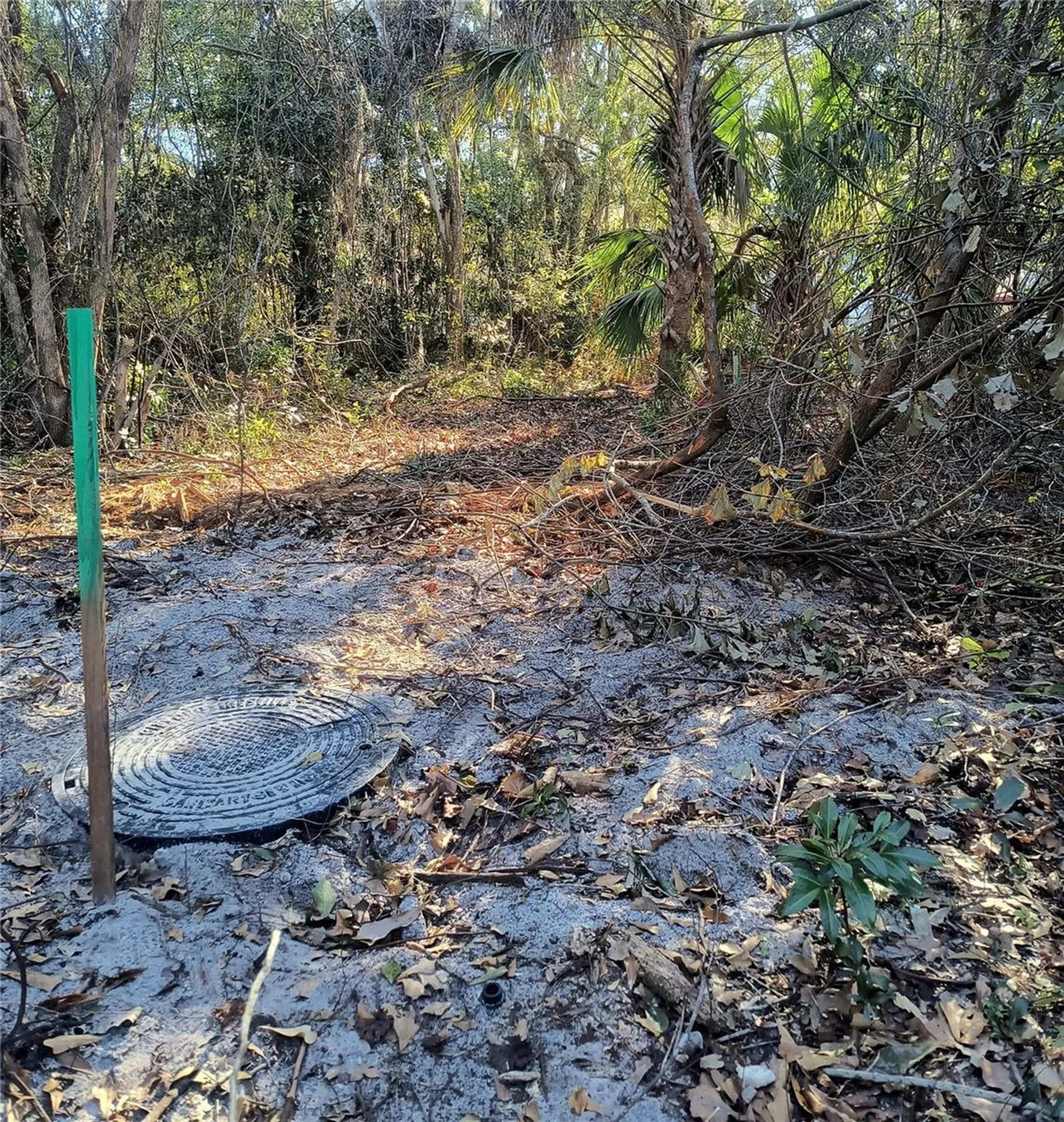1929 NE 7th Place Gainesville FL 32641