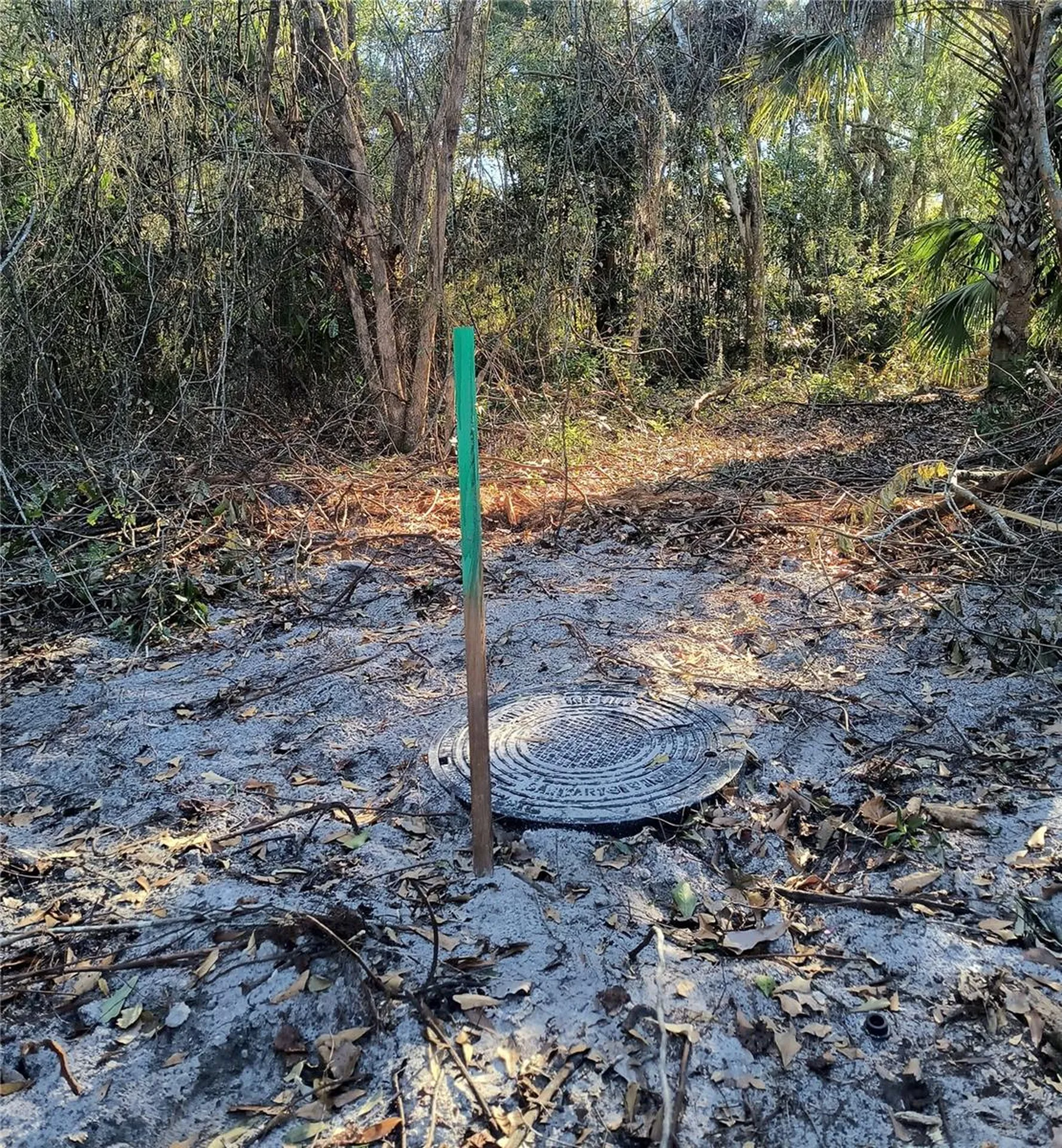 1929 NE 7th Place Gainesville FL 32641