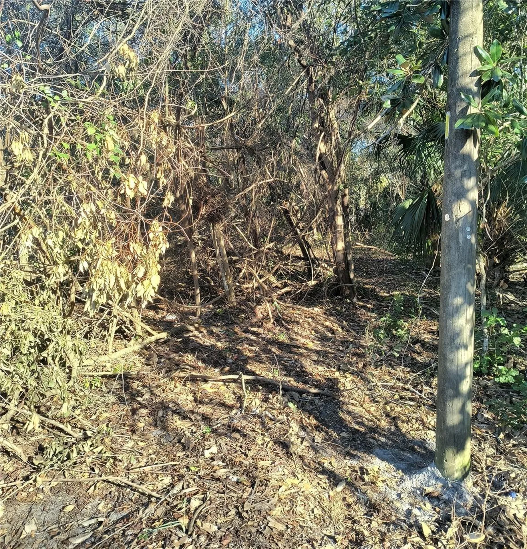 1929 NE 7th Place Gainesville FL 32641