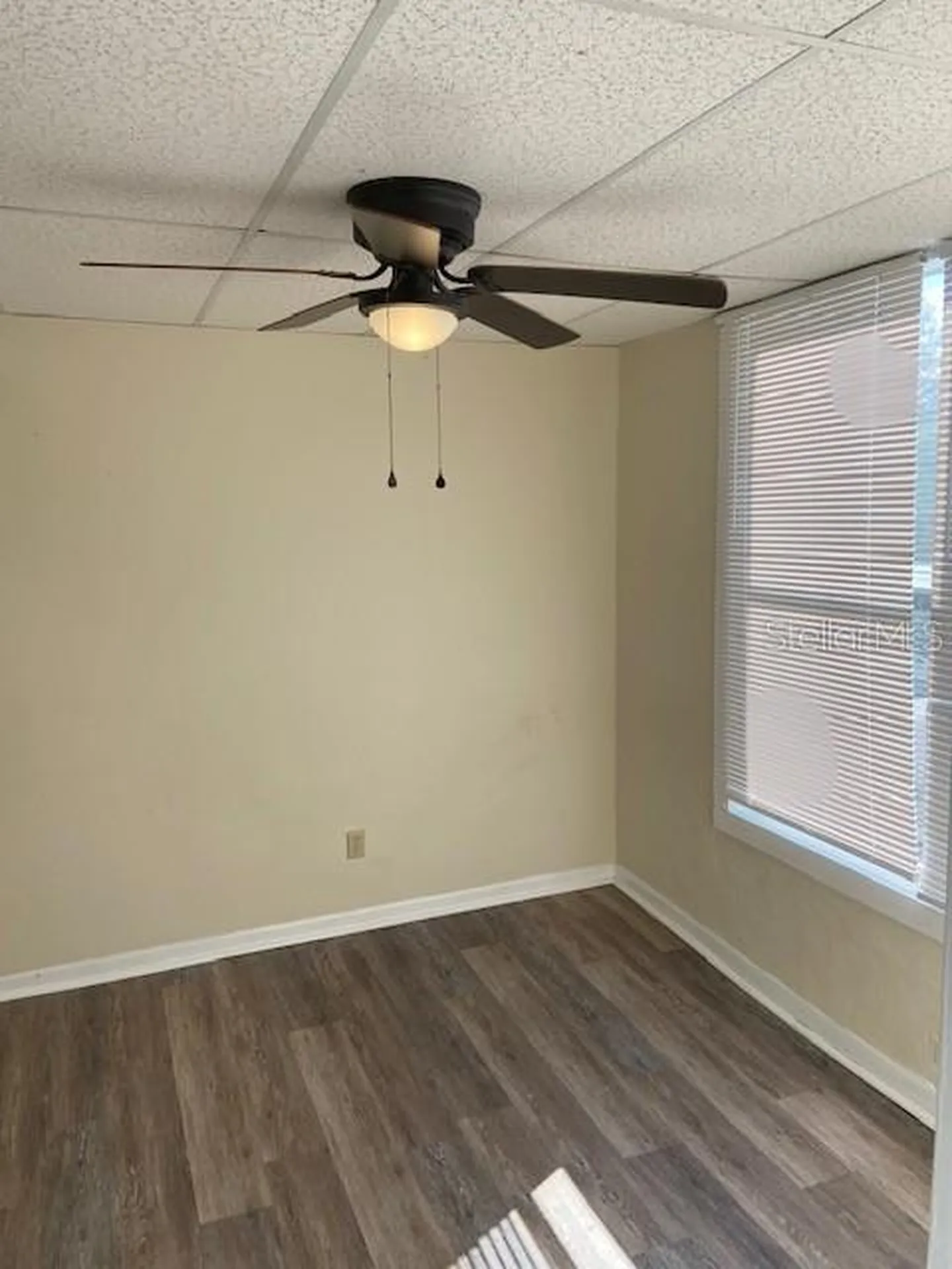 111 S Newport Avenue Tampa FL 33606