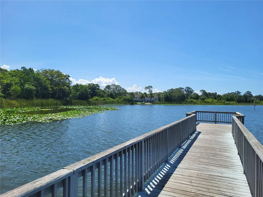 2636 Kavalier Drive Palm Harbor FL 34684
