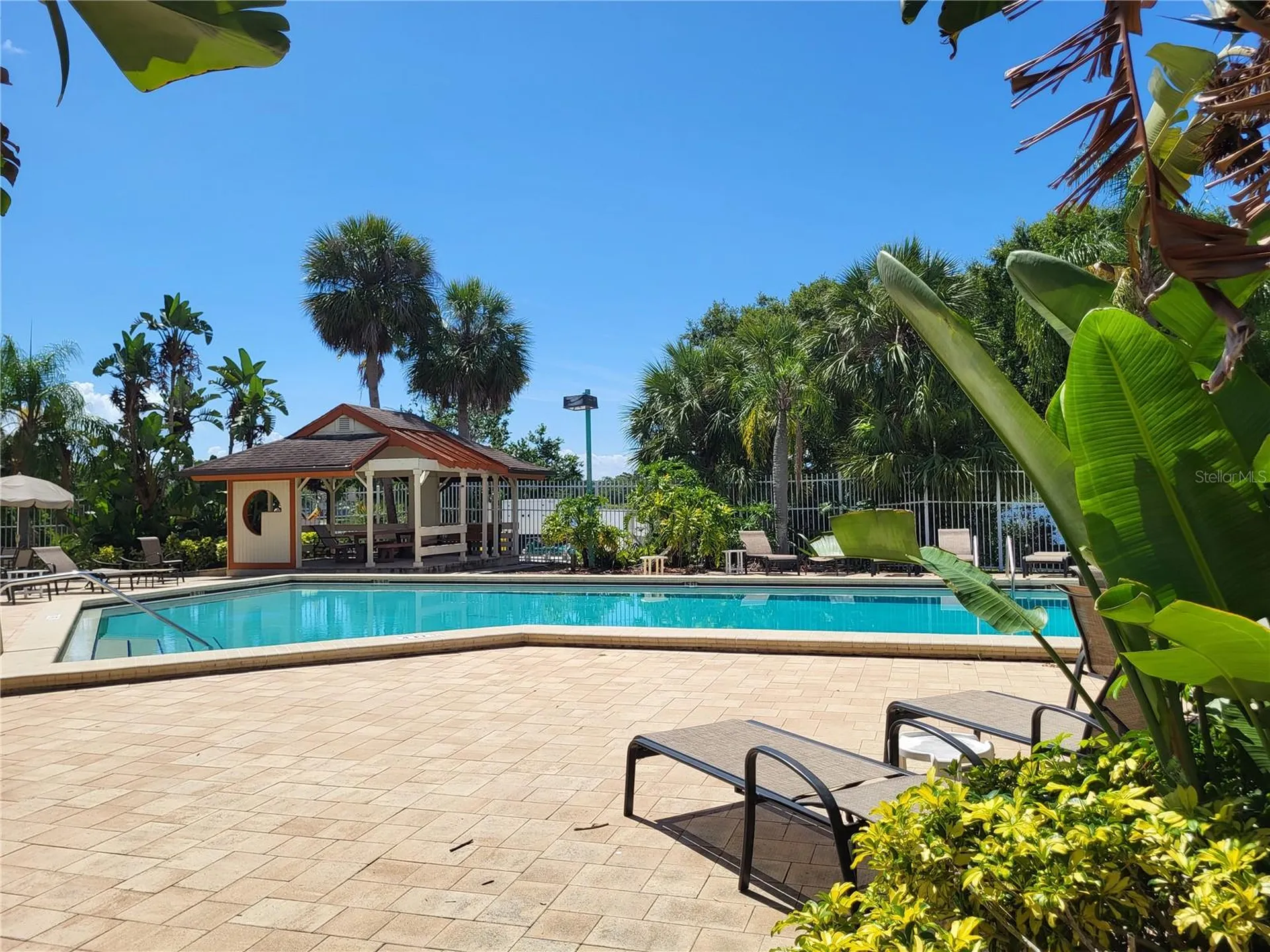 2636 Kavalier Drive Palm Harbor FL 34684