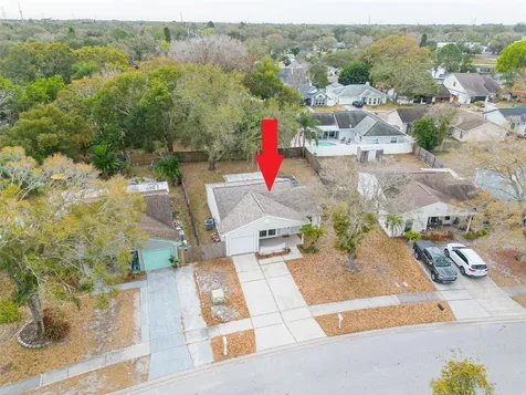 2636 Kavalier Drive Palm Harbor FL 34684