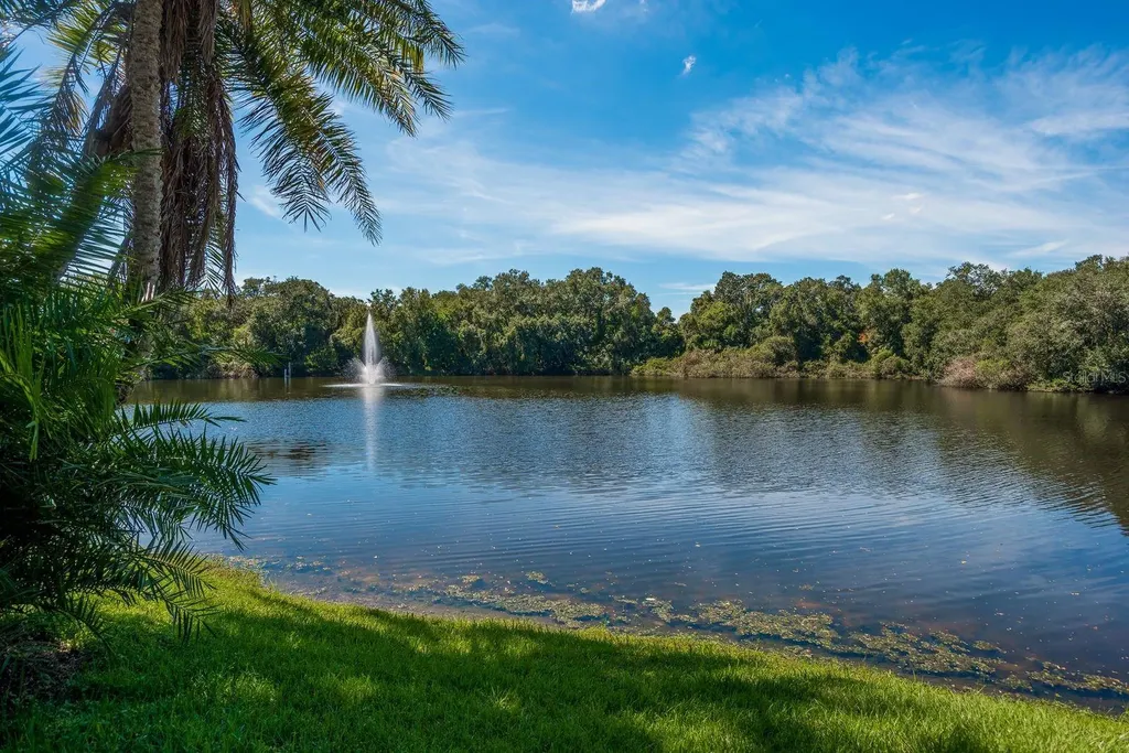 2702 14th Court Palm Harbor FL 34684