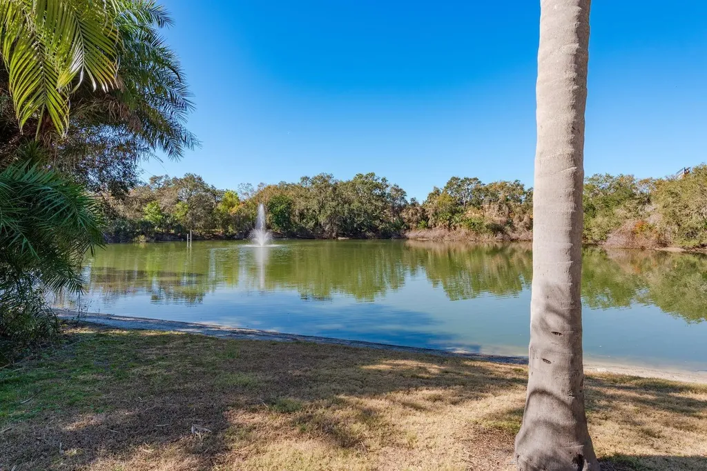 2702 14th Court Palm Harbor FL 34684