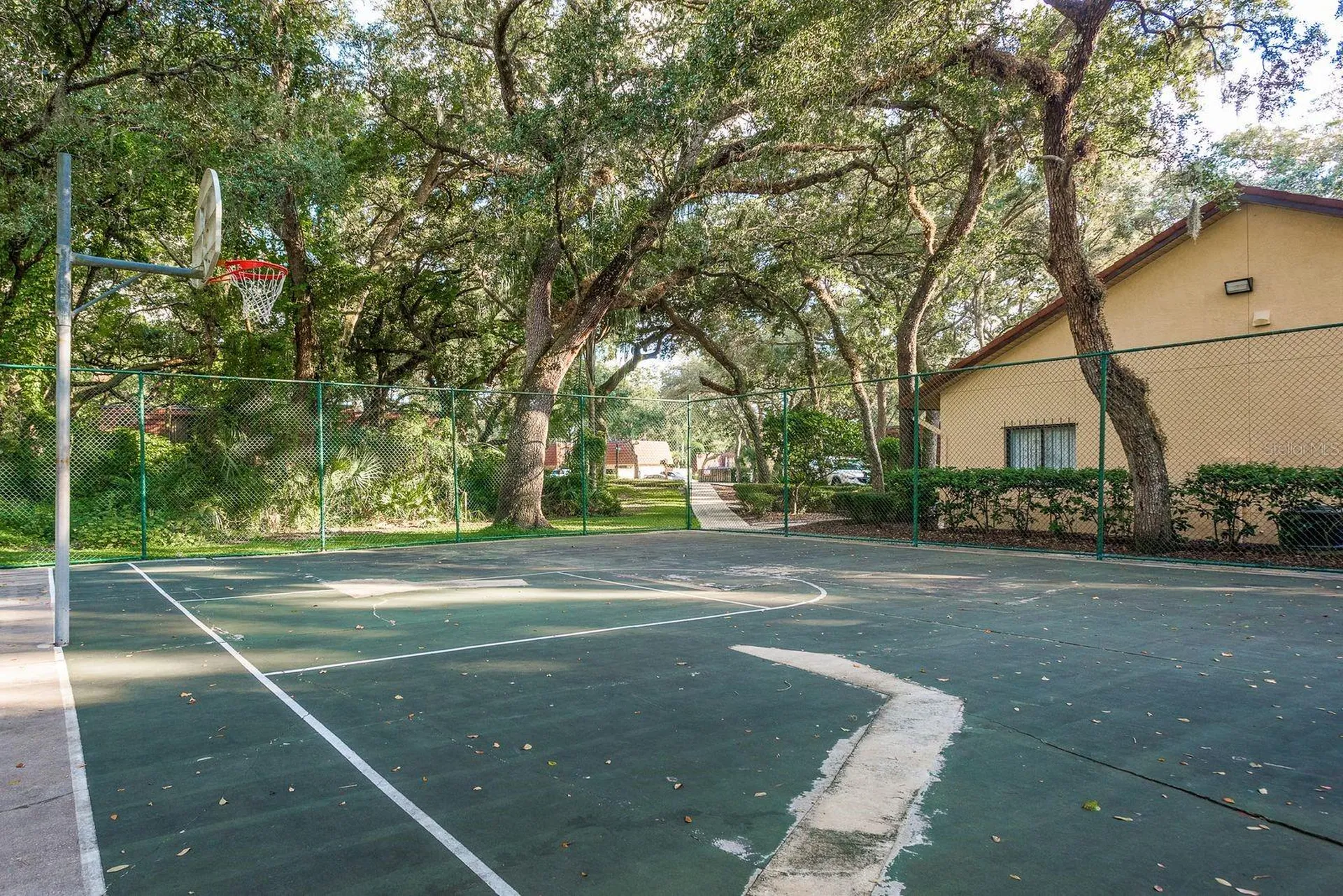 2702 14th Court Palm Harbor FL 34684
