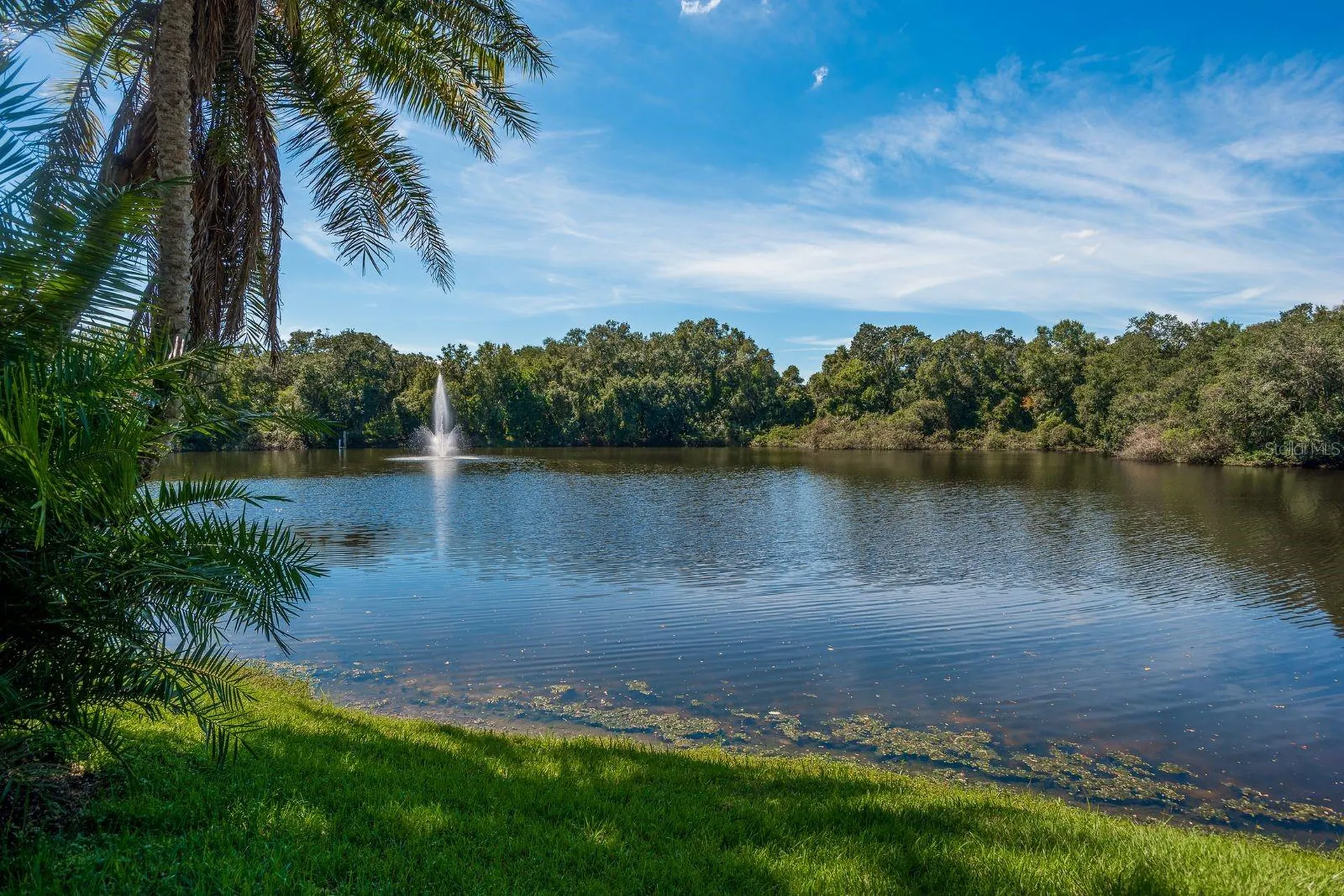 2702 14th Court Palm Harbor FL 34684