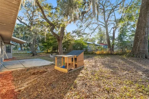 3800 NE 24th Court Ocala FL 34479
