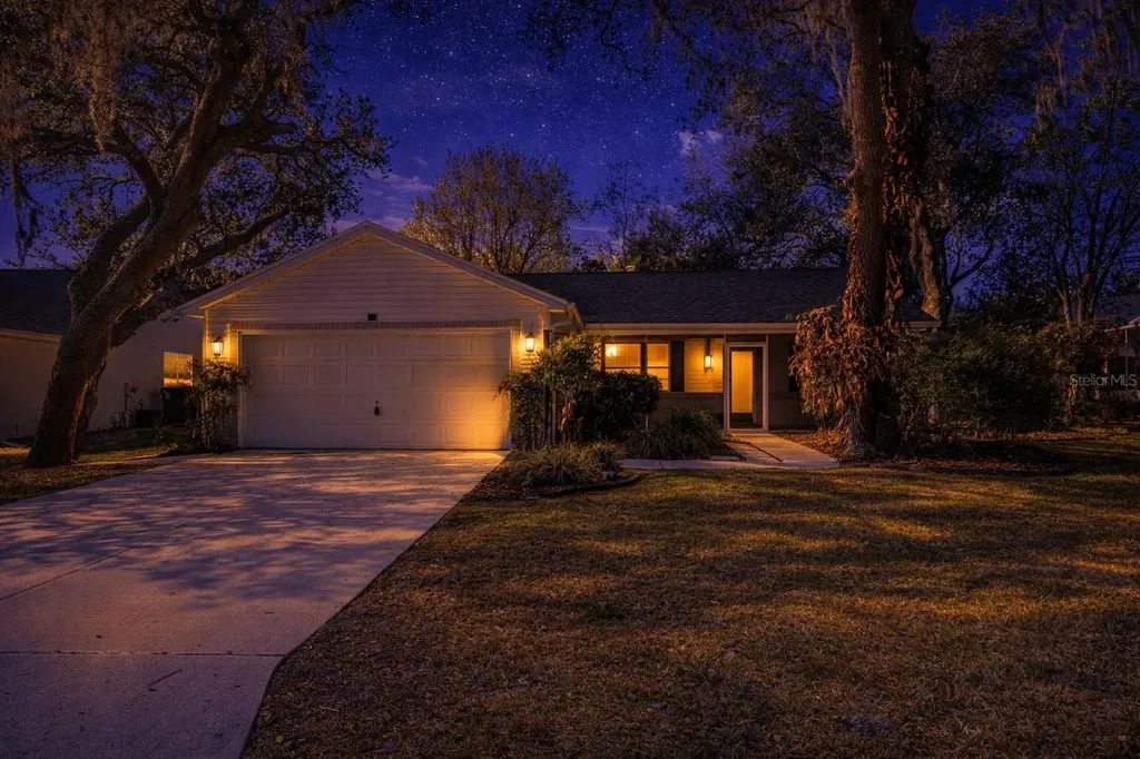 210 Palermo Place The Villages FL 32159
