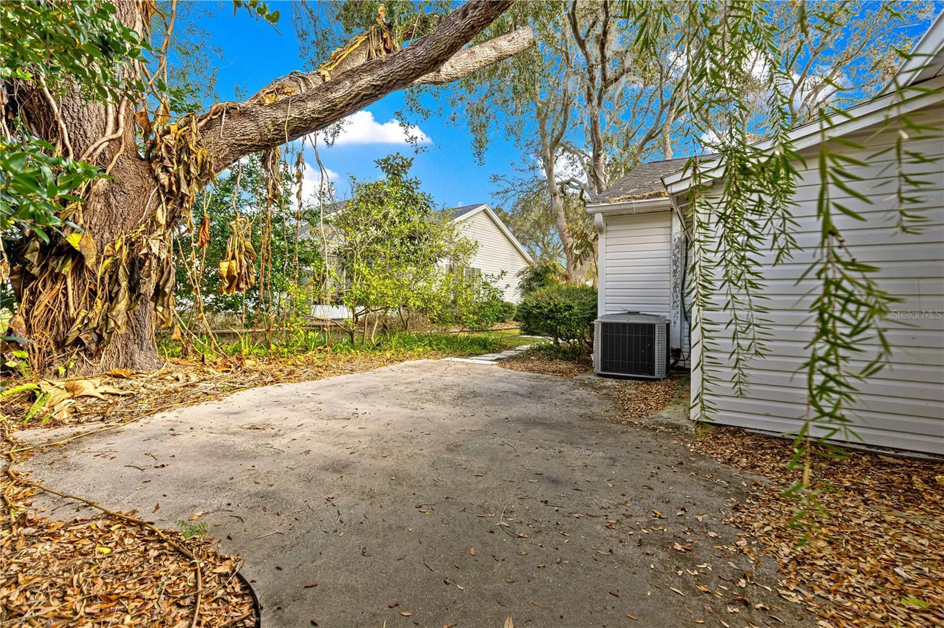 210 Palermo Place The Villages FL 32159