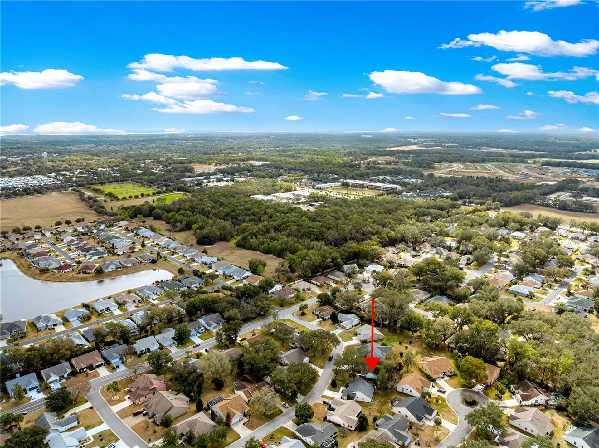 210 Palermo Place The Villages FL 32159
