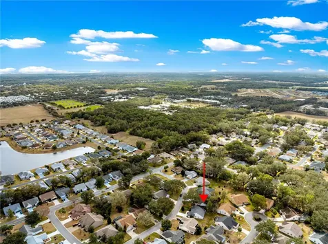 210 Palermo Place The Villages FL 32159