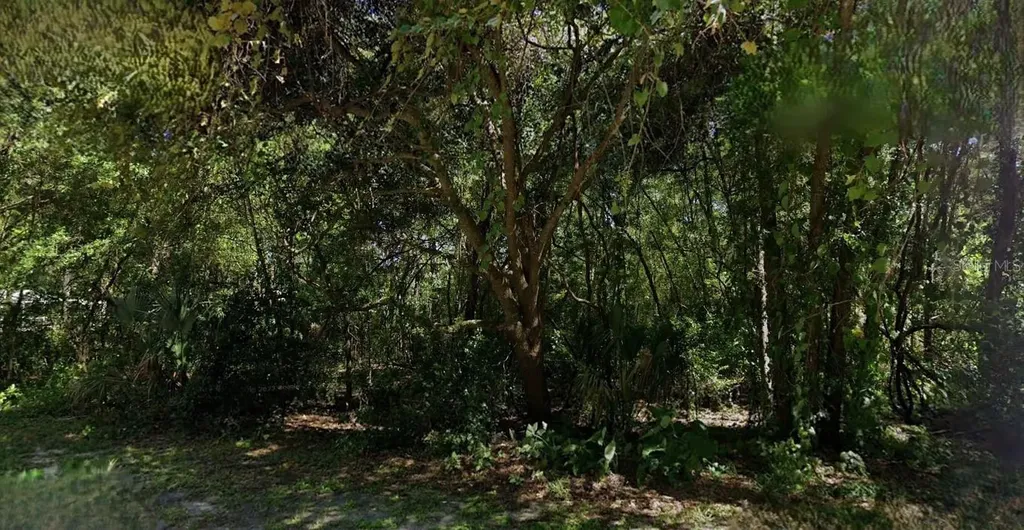 6406 E Malverne Street Inverness FL 34452