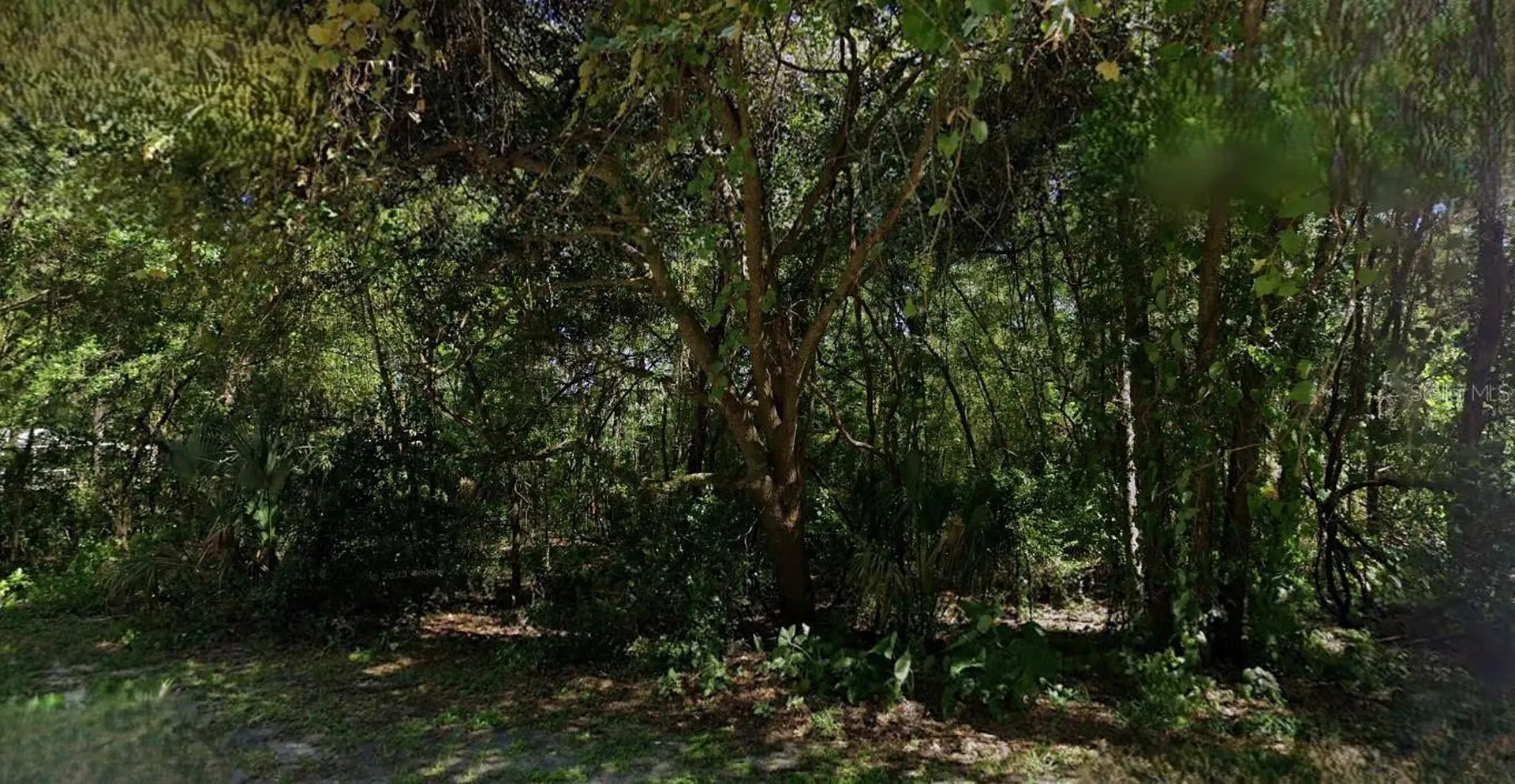 6406 E Malverne Street Inverness FL 34452