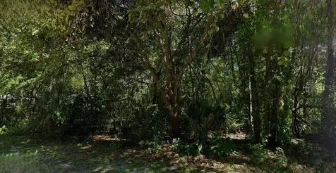 6406 E Malverne Street Inverness FL 34452