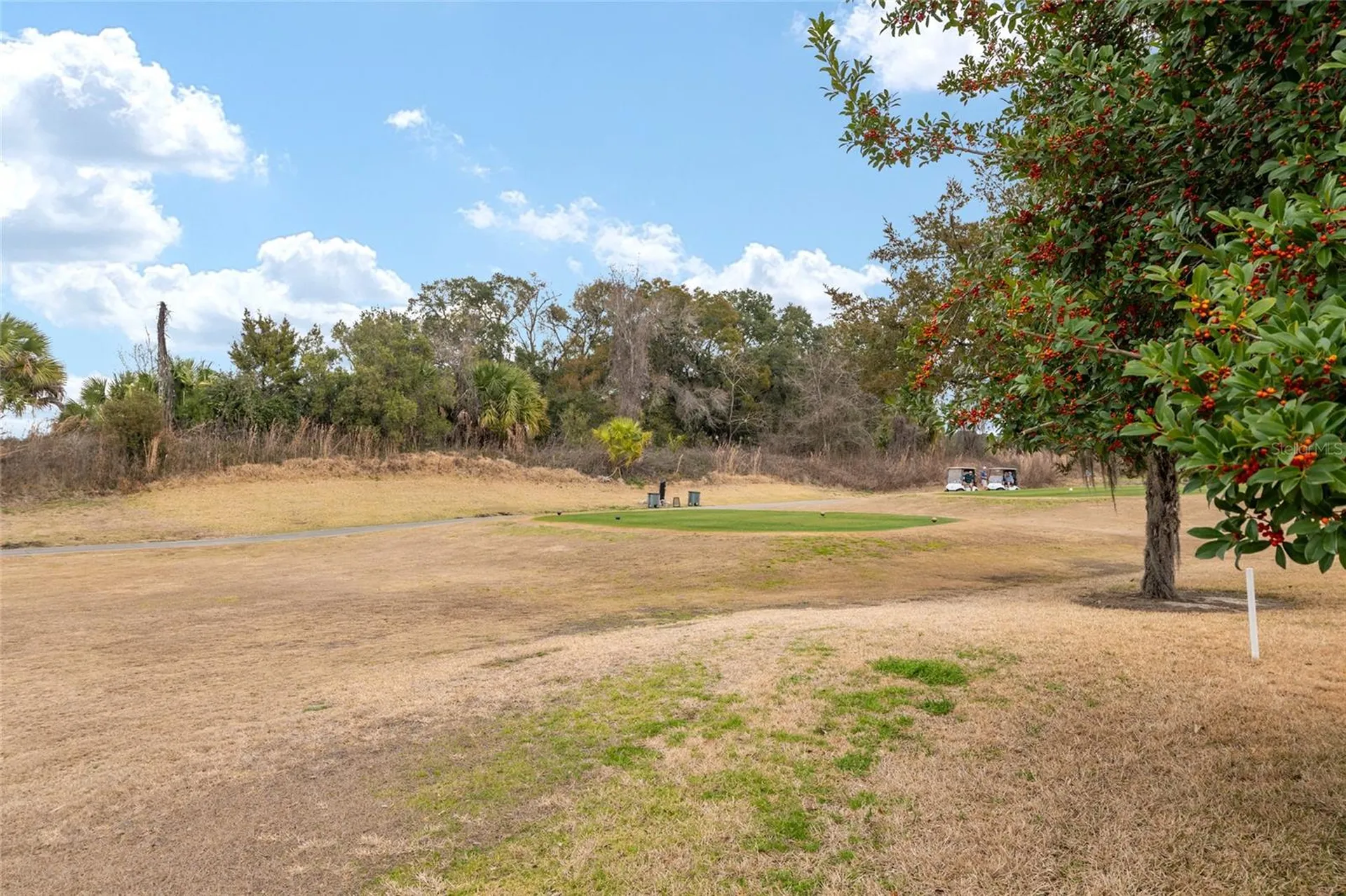 15050 SW 14th Avenue Road Ocala FL 34473