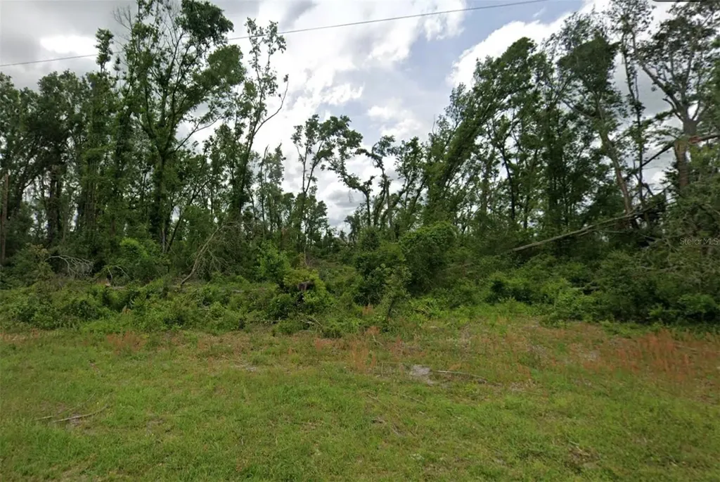 00 SW Doe Road Mayo FL 32066