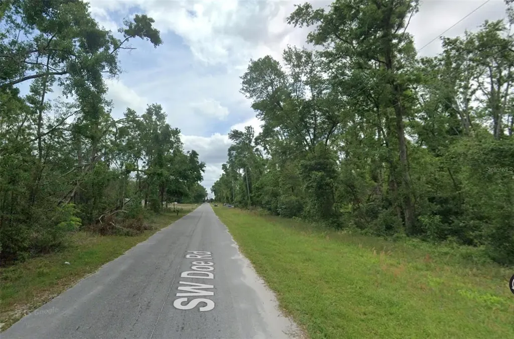00 SW Doe Road Mayo FL 32066