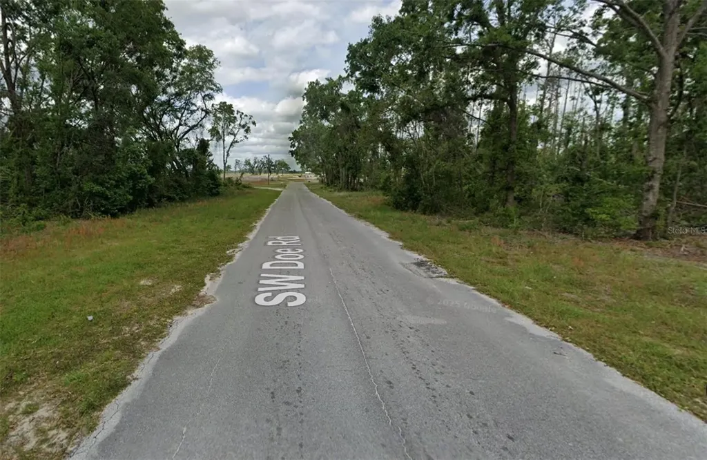 00 SW Doe Road Mayo FL 32066