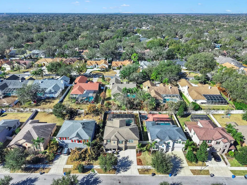 2935 Shetland Ridge Drive Valrico FL 33596