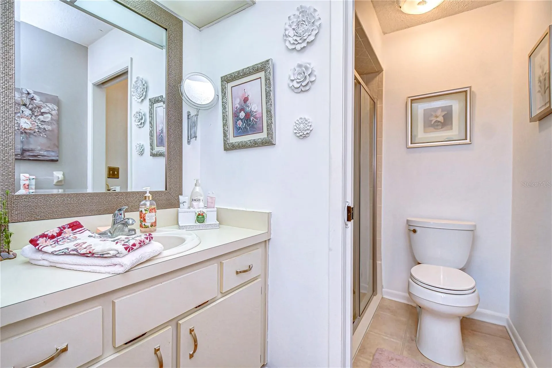 38351 Ironwood Place Zephyrhills FL 33542