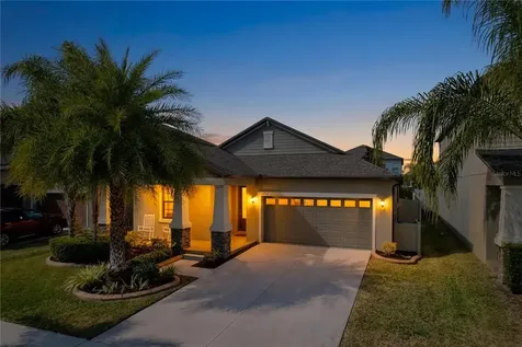 13907 Roseate Tern Lane Riverview FL 33579