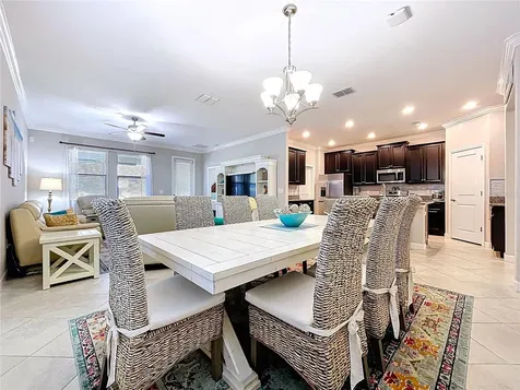 13907 Roseate Tern Lane Riverview FL 33579