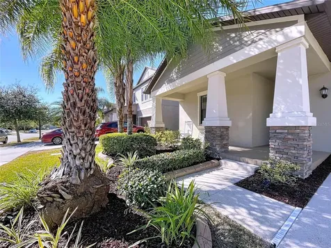 13907 Roseate Tern Lane Riverview FL 33579