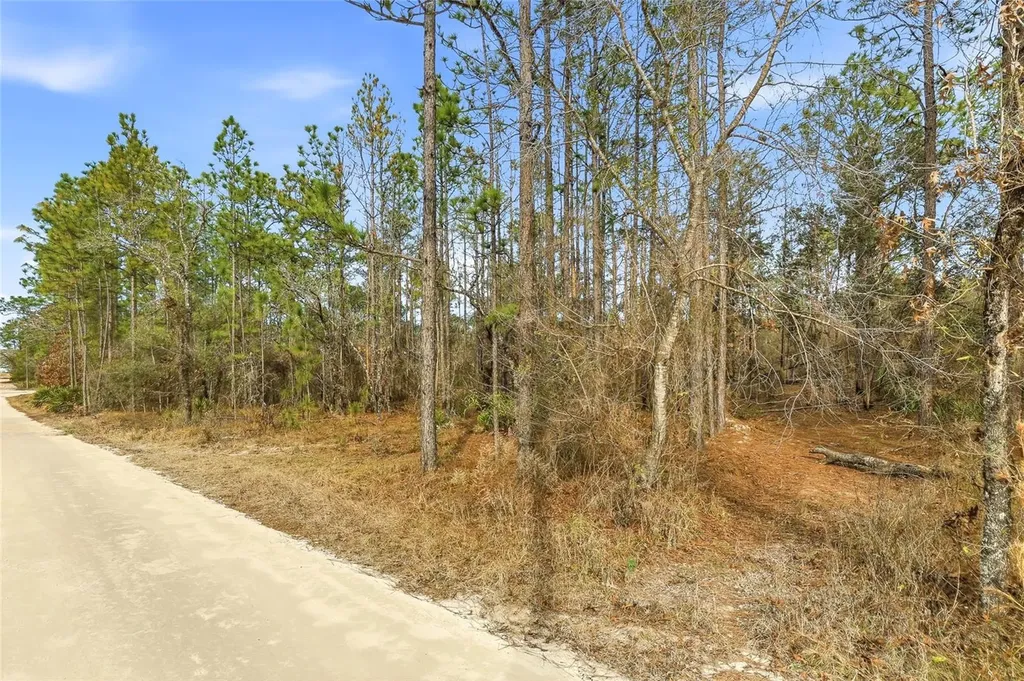11388 Thames Avenue Brooksville FL 34614