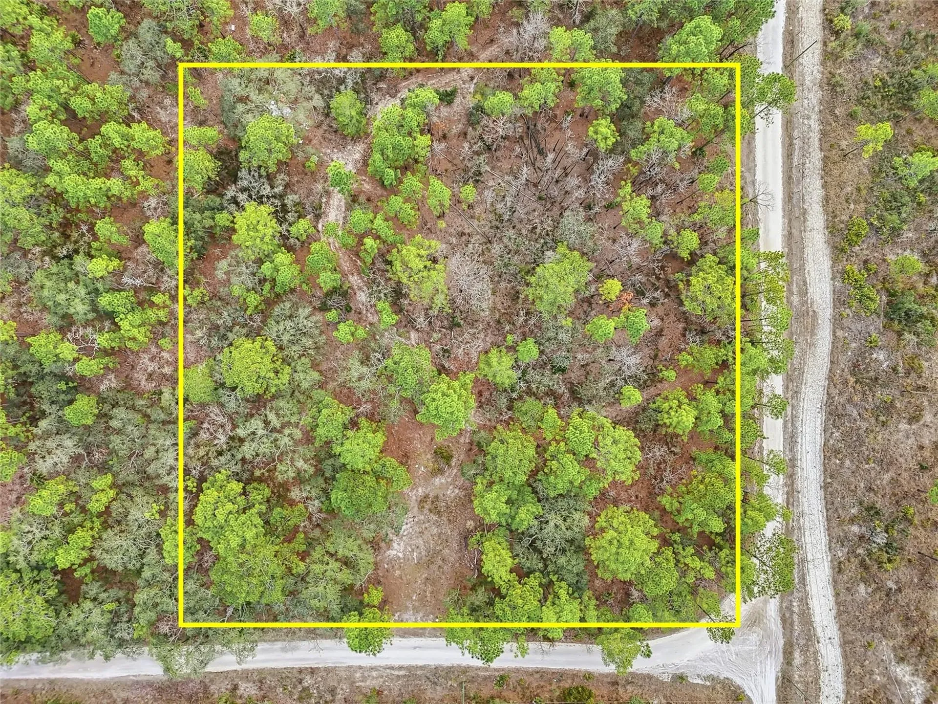 11388 Thames Avenue Brooksville FL 34614