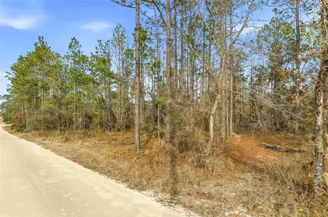 11388 Thames Avenue Brooksville FL 34614